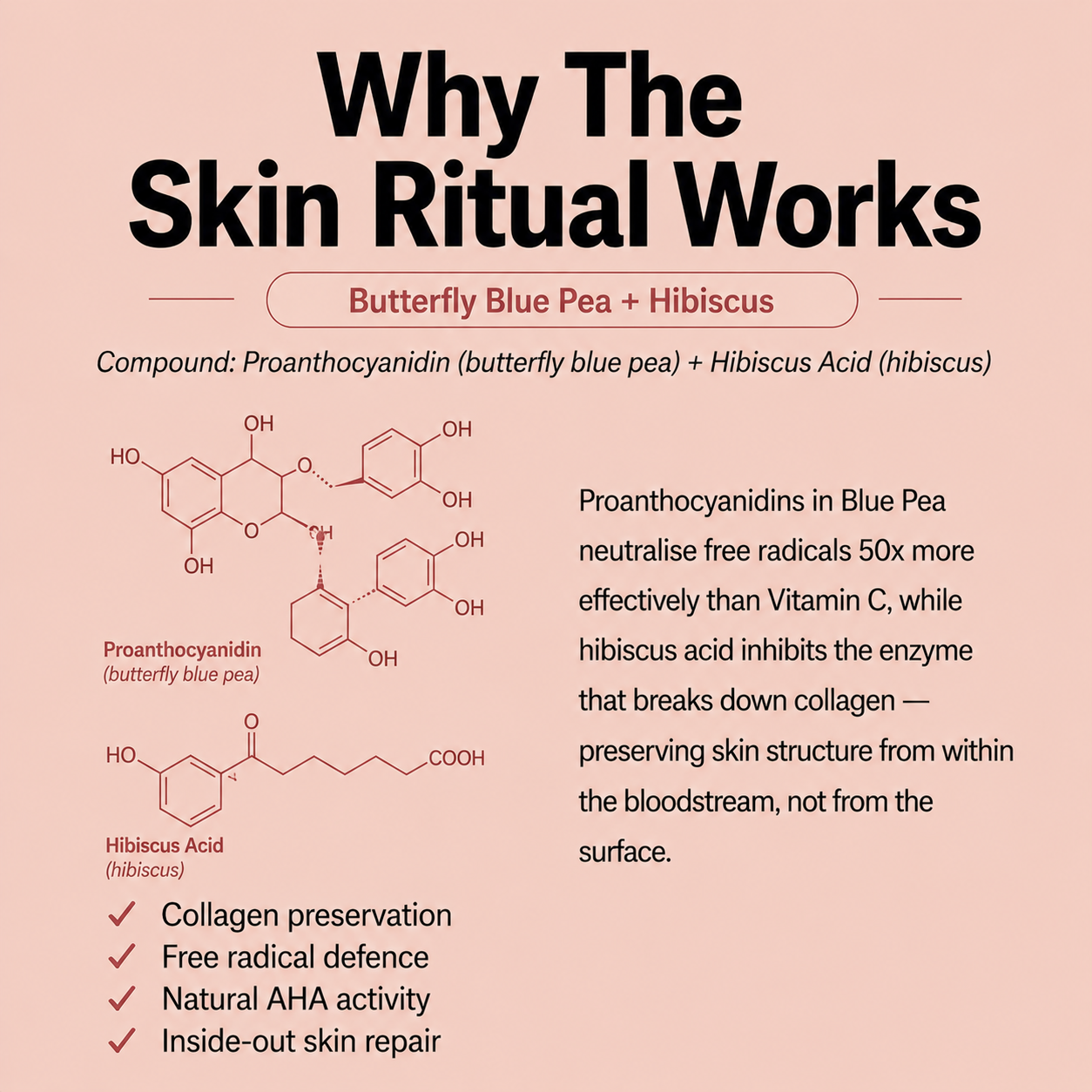 The
Skin
Ritual