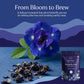 Butterfly Blue Pea Tea