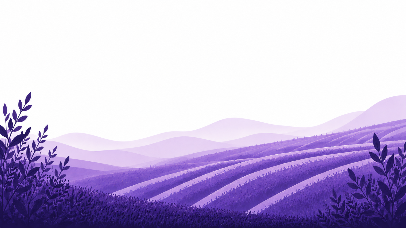 divider illustration