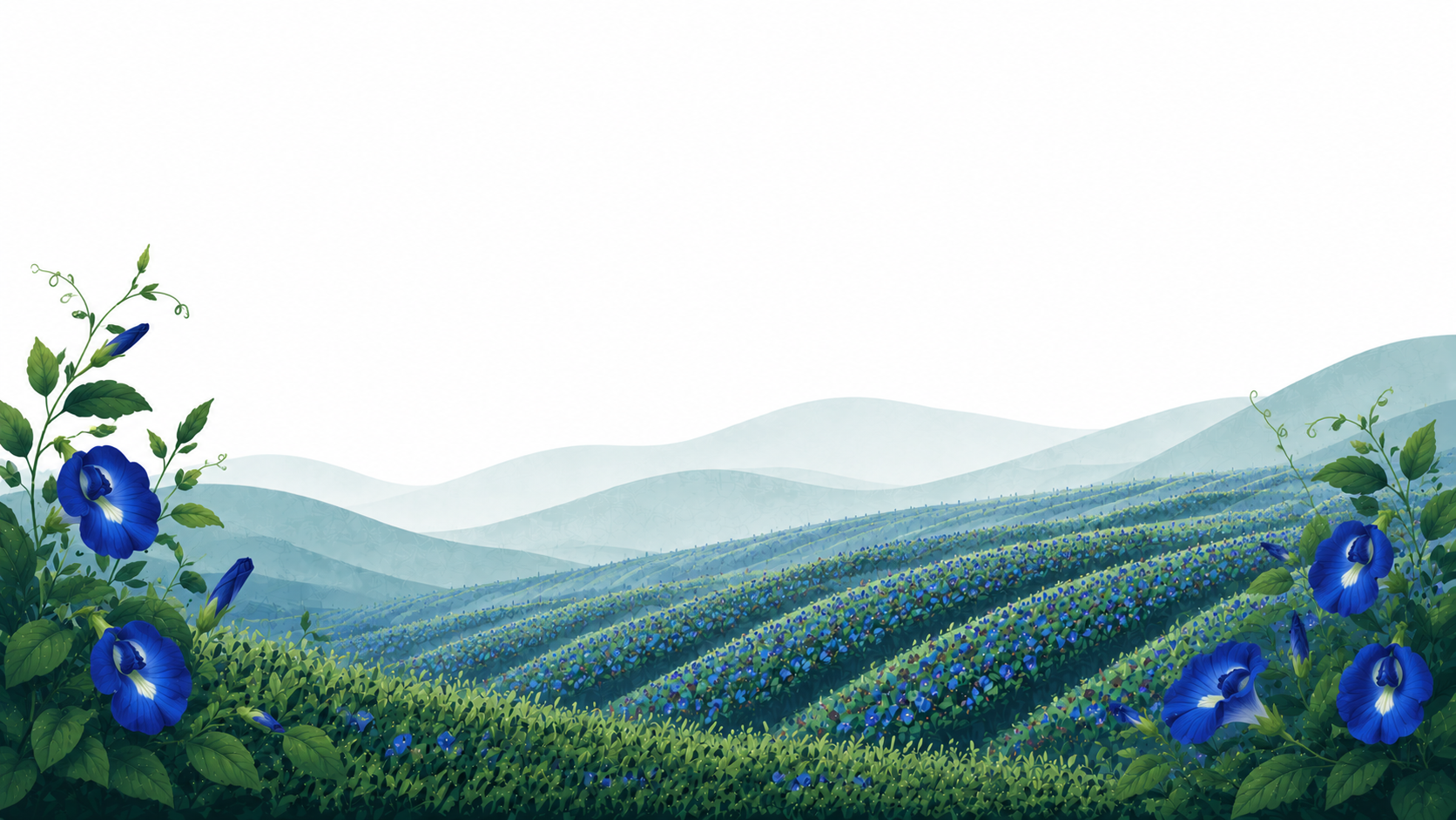 divider illustration