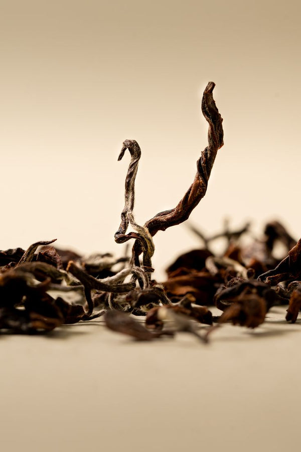 zesty, warming herbal infusion