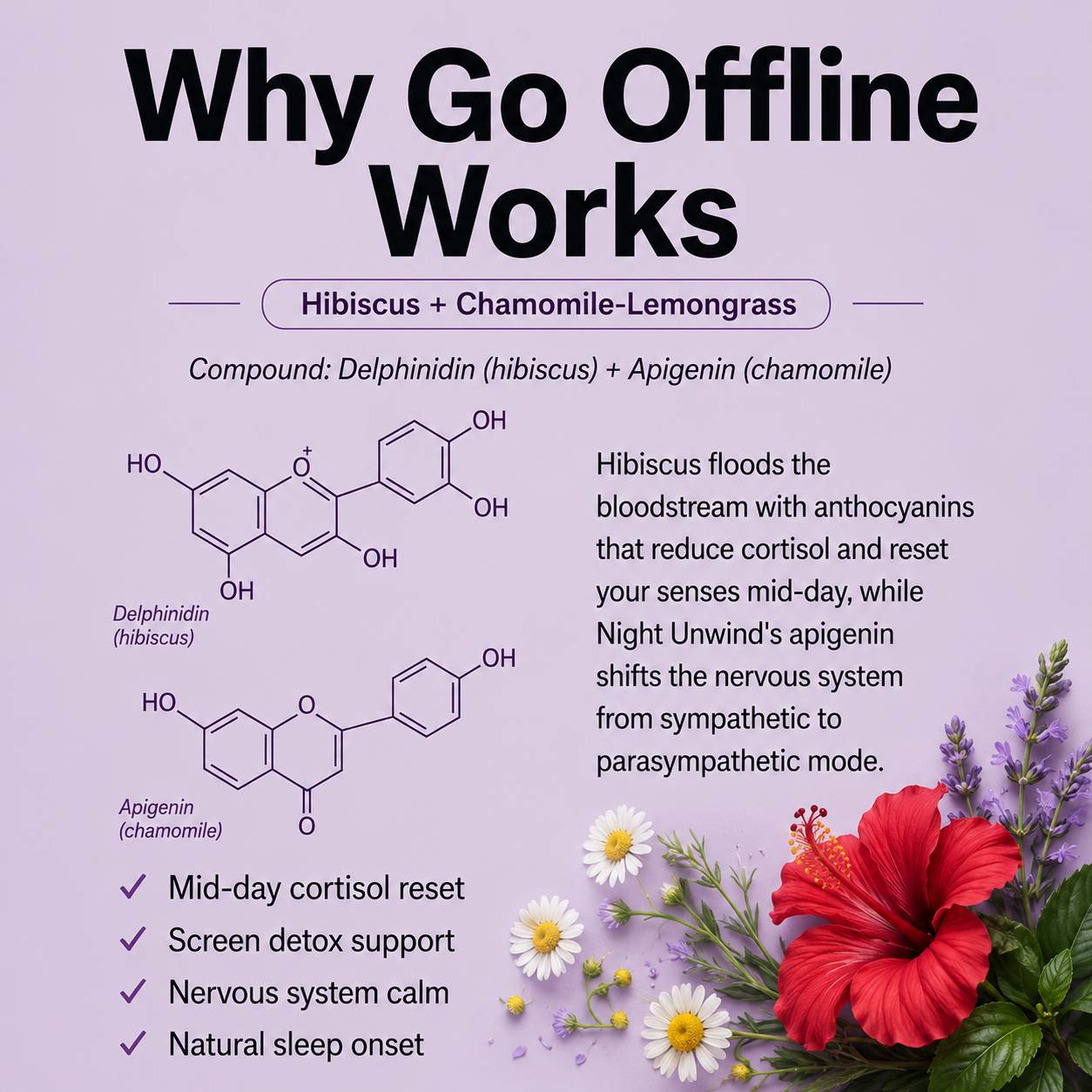 Go Offline