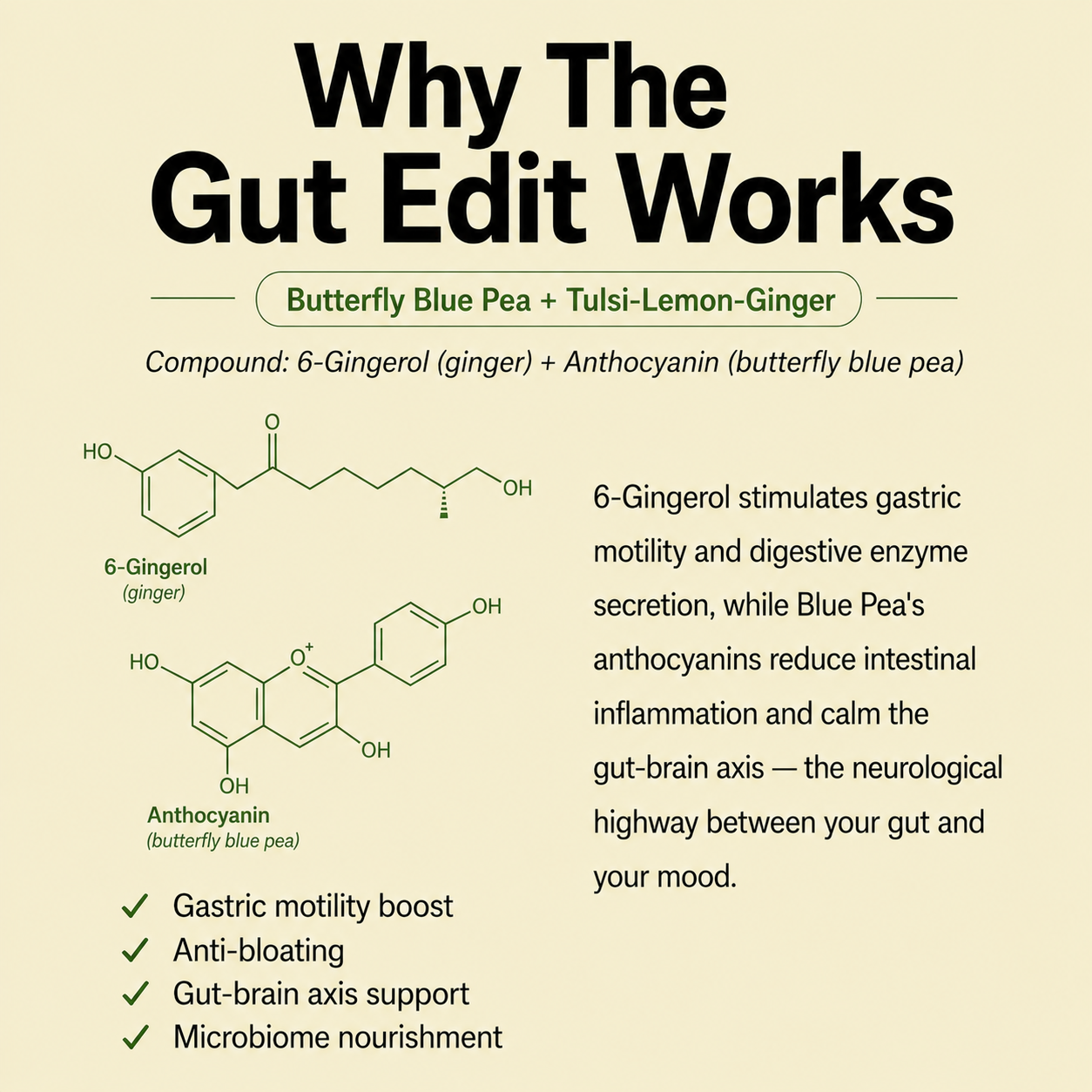 The Gut Edit.